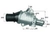 FIAT 46432157 Thermostat, coolant